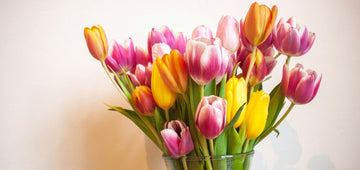 De mooiste Moederdag geschenken: inspiratie en tips!