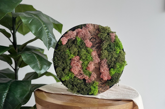 Craft Kit Moss Painting